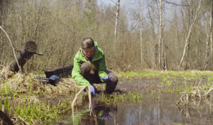 A conservationist inspects a wetland shoreline.
