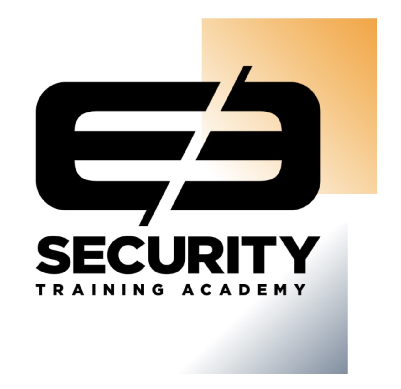 E3 Security Training Academy